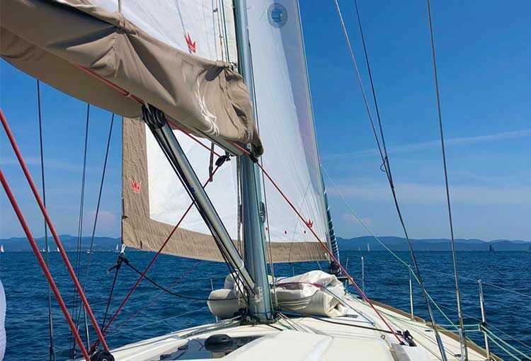 Flectra CMS - a big picture