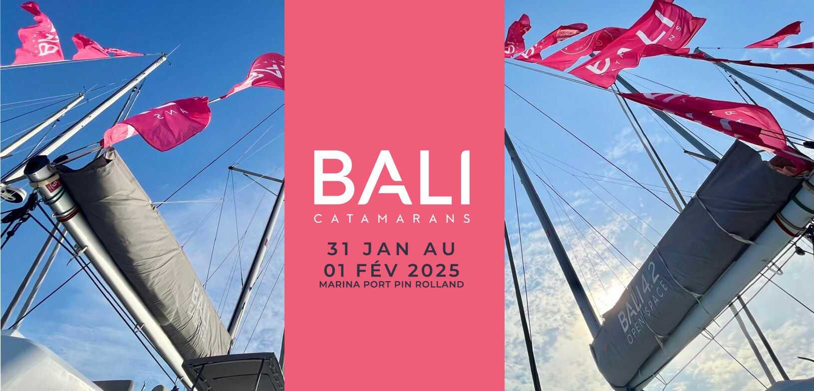 Flectra CMS - a big picture