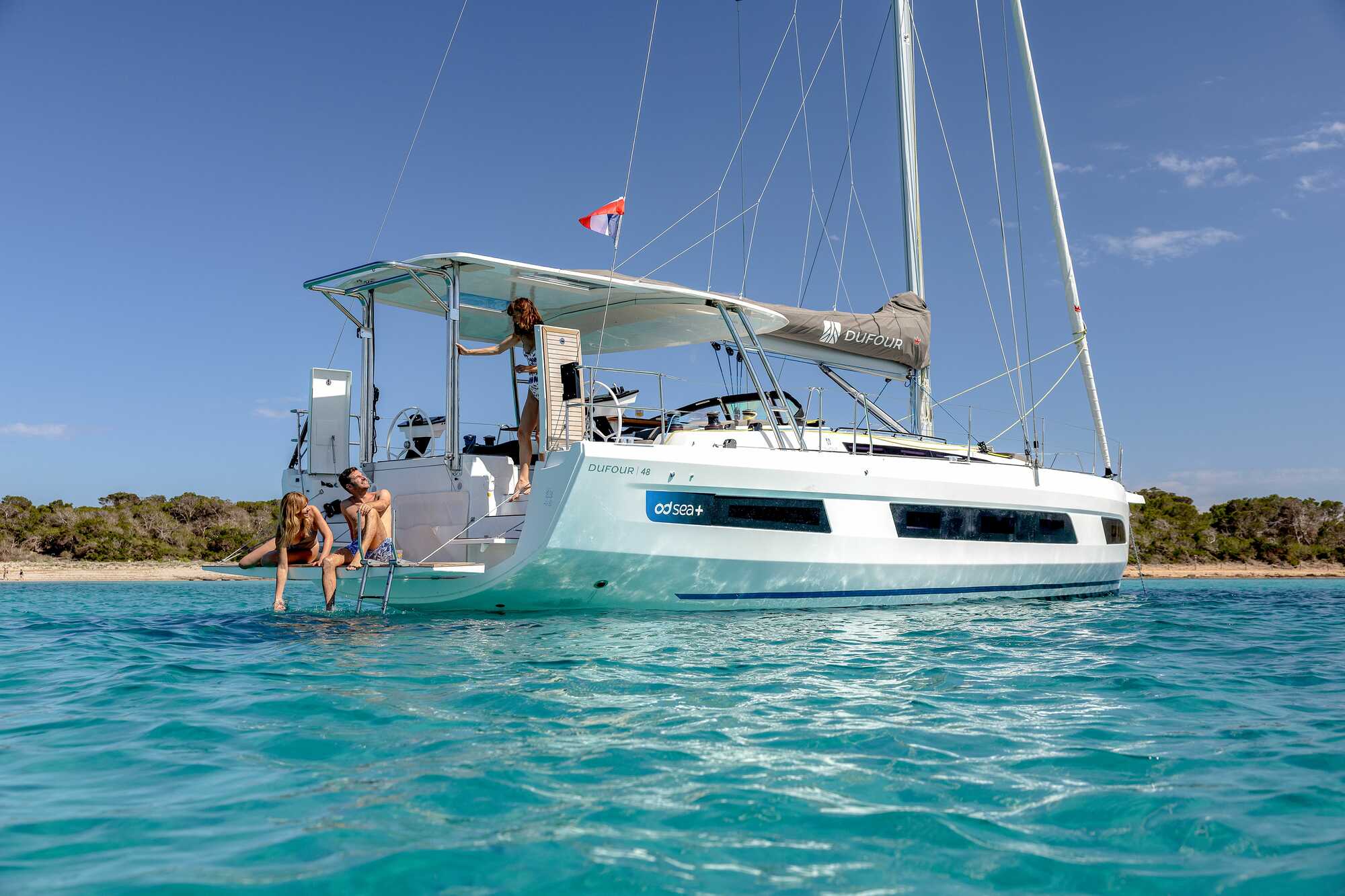 Flectra CMS - a big picture